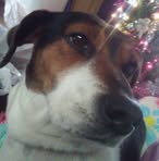 Dixie Lambert - Facebook