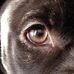 Dixie Leavitt - Facebook