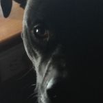 Dixie Leavitt - @leavittdixie - Instagram