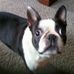 Dixie Lyon - Facebook