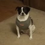 Miss Dixie Mathews - @_dix__pix_ - Instagram