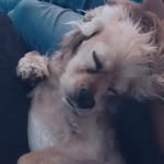 🦋Ｄｉｘｉｅ  Ｍａｙ🦋 - @dixie.may.schip - Instagram