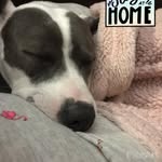 Dixie May Simi - @dixie_may_simi_8 - Instagram