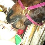 Dixie Mays - Facebook