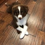 Dixie Meadows - @kizzi_taj - Instagram