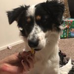 Dixie Mitchell - @dixiewooflol - Instagram