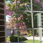 Dixie Mitchell Cargill - @boftcargill - Instagram