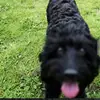 Dixie Mitchell-Waite - @dixiemitchellwaite - TikTok