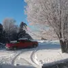 Dixie Nelson - @dixie.nelson6 - TikTok