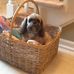 Dixie Hoffman Nicholson - Facebook