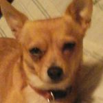 Dixie Cheyenne Parsons - @dixiecheyenneparsons - Instagram