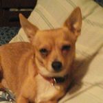 Dixie Cheyenne Parsons - @dixiecheyennep - Instagram