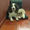 Dixieyspike - @dixieyspike - TikTok