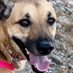 Dixie Price - @dixieroo14 - Instagram