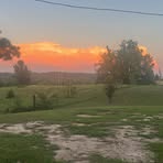Dixie Price - Facebook