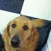 Dixie Proctor - Facebook