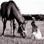 dixie ray - @dixieray98 - Instagram