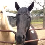 Dixie_Ray - @dixie_ray3808 - Instagram