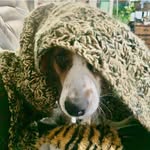 Dixie Ray - @deelee1221 - Instagram