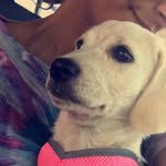 dixie ray - @moms_dixie_land_delight - Instagram