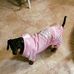 Dixie Robinson - Facebook