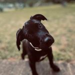 Dixie Robinson - @_dixie_lee_ - Instagram