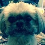 Drob - @dixierobinson75 - Instagram