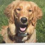 Dixie Sampson - Facebook