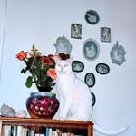 Dixie Lee Sargent - @seewhativeseen - Instagram