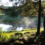 Dixie Sargent McGrath - @dixiemcgrath435 - Instagram
