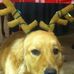 Sargent Dixie Pon - Facebook