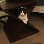 Dixie Lynn Todd - @dixielynntodd - Instagram