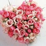 Dixie Todd - @dixie.todd.56 - Instagram