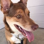 Dixie Vance - @desert.dixie - Instagram