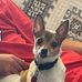 Dixie Vance - Facebook