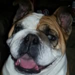 Dixie loo warner - @dixiewarner0 - Instagram