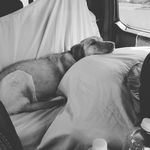 Dixie Warren - @dixiegirltexas - Instagram