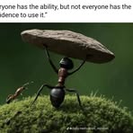 Daxo Wizzy - Facebook