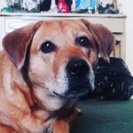 Dixie<3 - @dixie_wiseman - Instagram