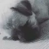 Dixie - @dixie_wise - TikTok