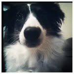 Dixie Belle Young - @dixie_belle12 - Instagram
