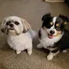 Dixie - @dixieyoung517 - TikTok