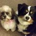 Dixie Young - Facebook