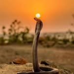 dixit patel - @dixit_patel_81 - Instagram
