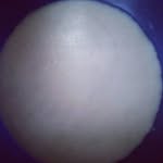 Dj Collins - @dj.collins_ - Instagram