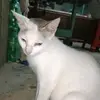 DJ Cox - @dj.cox2 - TikTok