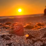 DJ Dahl - @sharktoothcitysunsets - Instagram