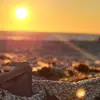 DJ Dahl - @sharktoothcitysunsets - TikTok