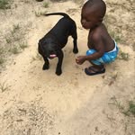@djell_is - Instagram