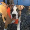 Dj Erickson - @dj.erixkson - TikTok